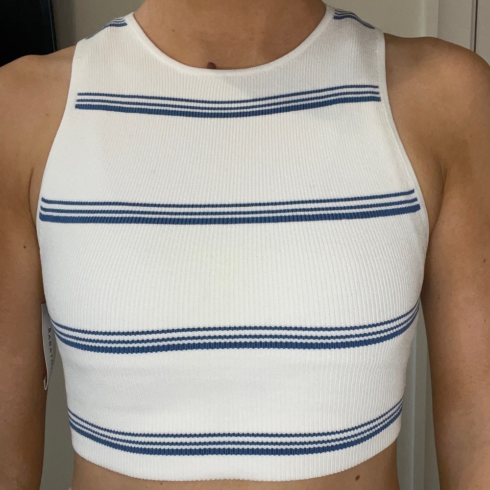 Aritzia stripped crop tank top (tags still attached)